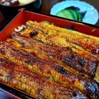 土曜のうなぎ