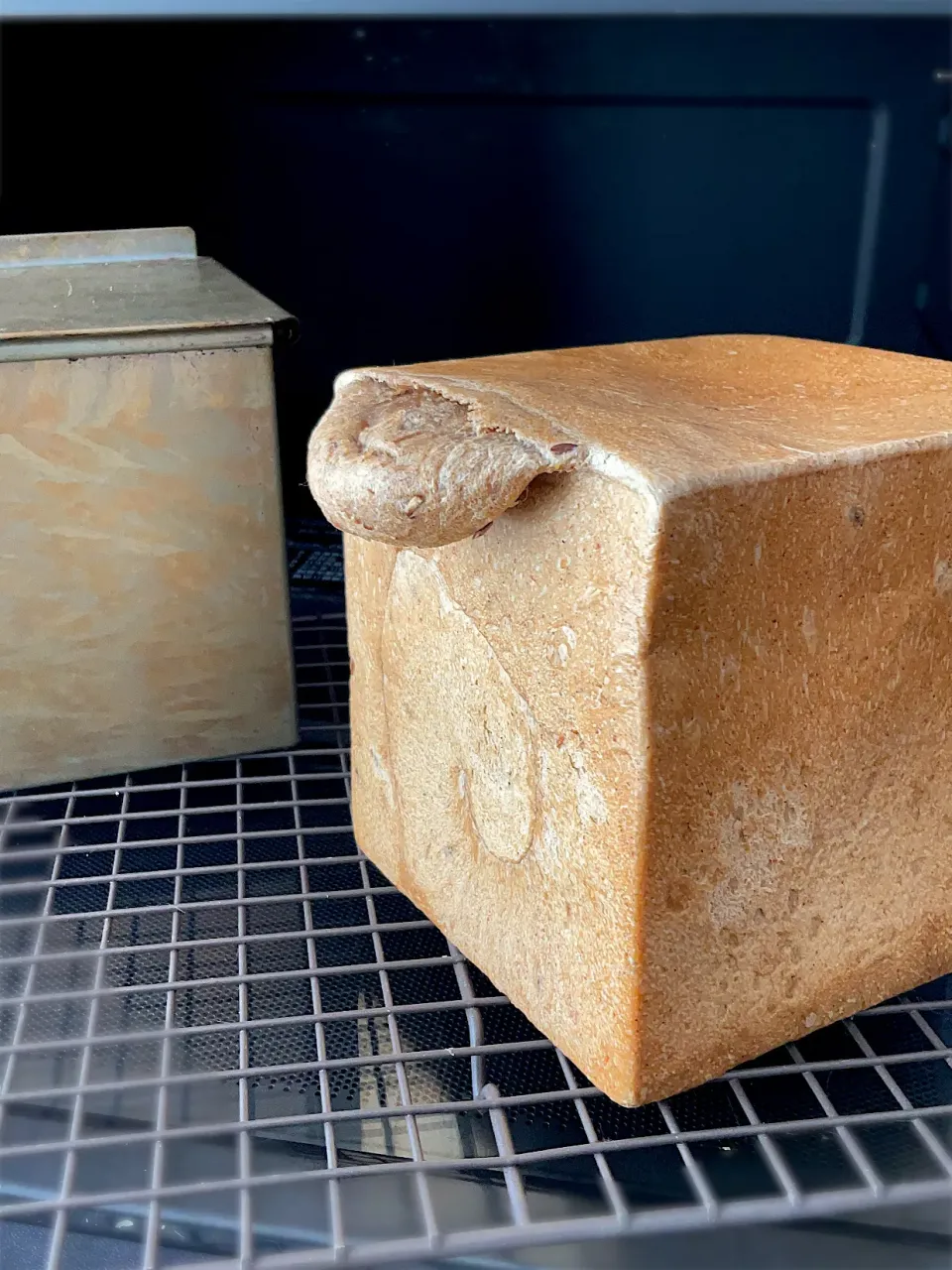 マルチグレイン雑穀角食ミニリーゼント付き|9421beruさん