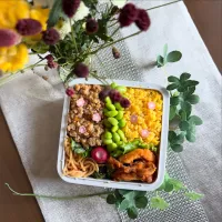 9/2❤︎主人の三色そぼろ弁当🌱

＊ 鶏そぼろ
＊ たまごそぼろ
＊ 塩茹で枝豆🫛
＊ イカリングフライ
＊ たらこパスタパスタ
＊ ほうれん草の胡麻和え|Makinsさん