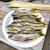 鮎つかまえた|Selma Jezkovaさん