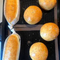 バンズとコッペパン|miyumiyu1013さん