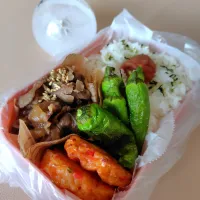 9/3派遣かーちゃん弁当|けろよんさん