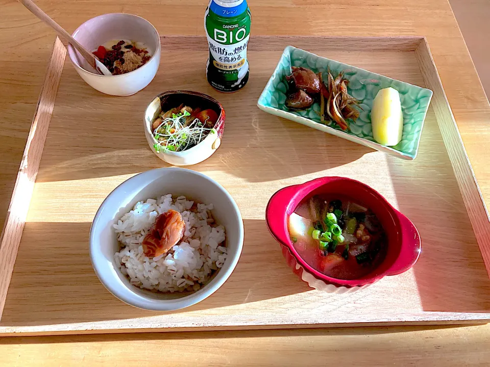 一昨日の朝定食(〃￣ω￣)σ|さくたえさん