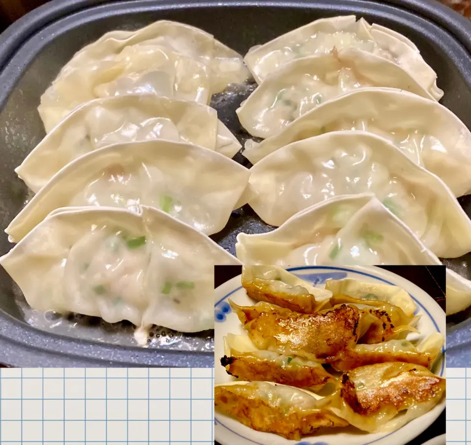 1人ホットプレートで「手作り餃子」|mottoさん