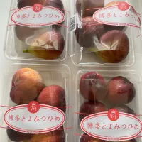 博多いちじく|etsu1005さん