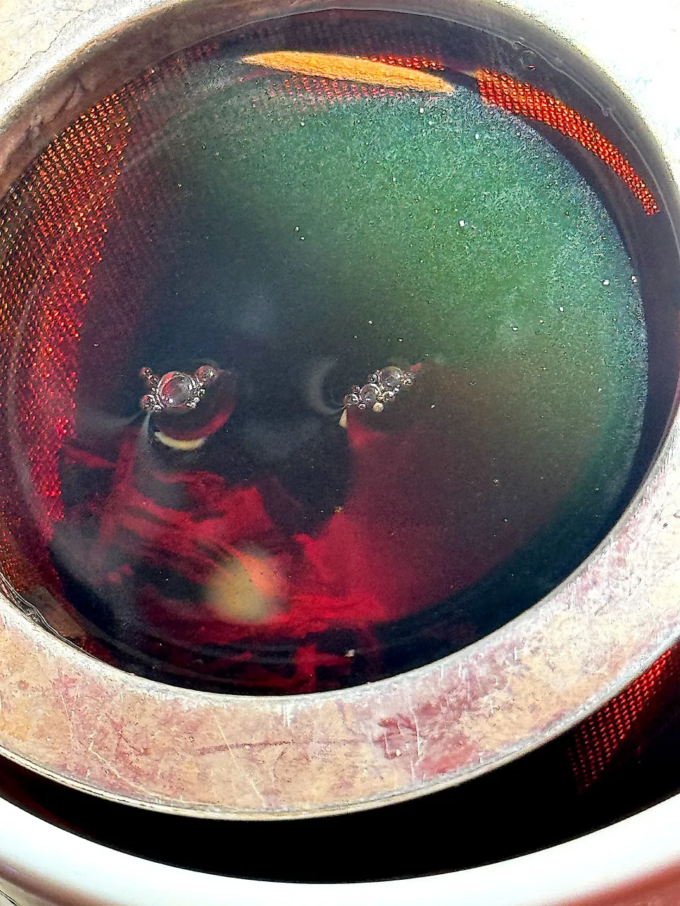 プーアル茶 普アル茶|LNAさん