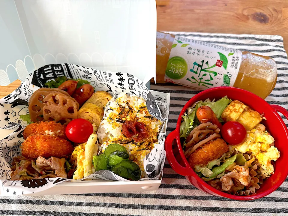 今日のヤツのお弁当（R7.9.5）|え〜かさん