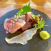 刺身の盛り合わせ 1人前|T. Wonderさん