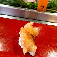 |チャチャッピーさん