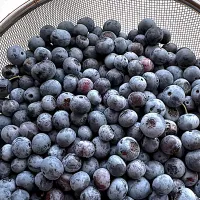 |Noriko Hosokawaさん