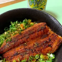 うなぎドーーン|パムpamuさん