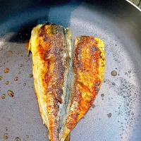 オリーブオイルを使ってアジの開き焼いてみました．|マースさん