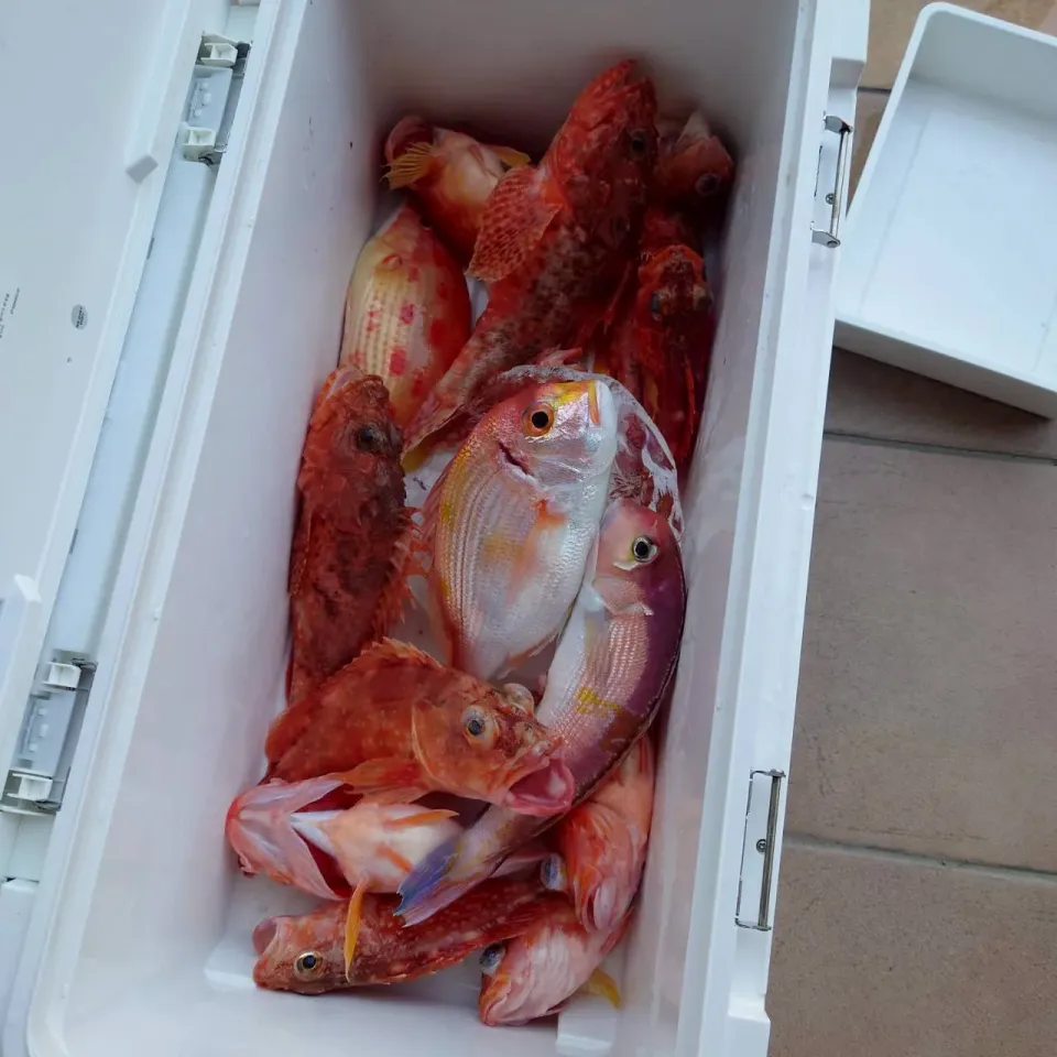 釣り|タマ三郎さん