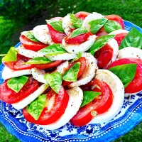 Delicious Italian Appetizer or summer meal with Mozzarella, Tomato and Basil| Laki Maikaʻiさん
