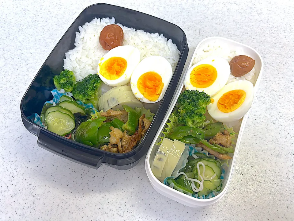 2025年9月8日お弁当|もぐぷーさん