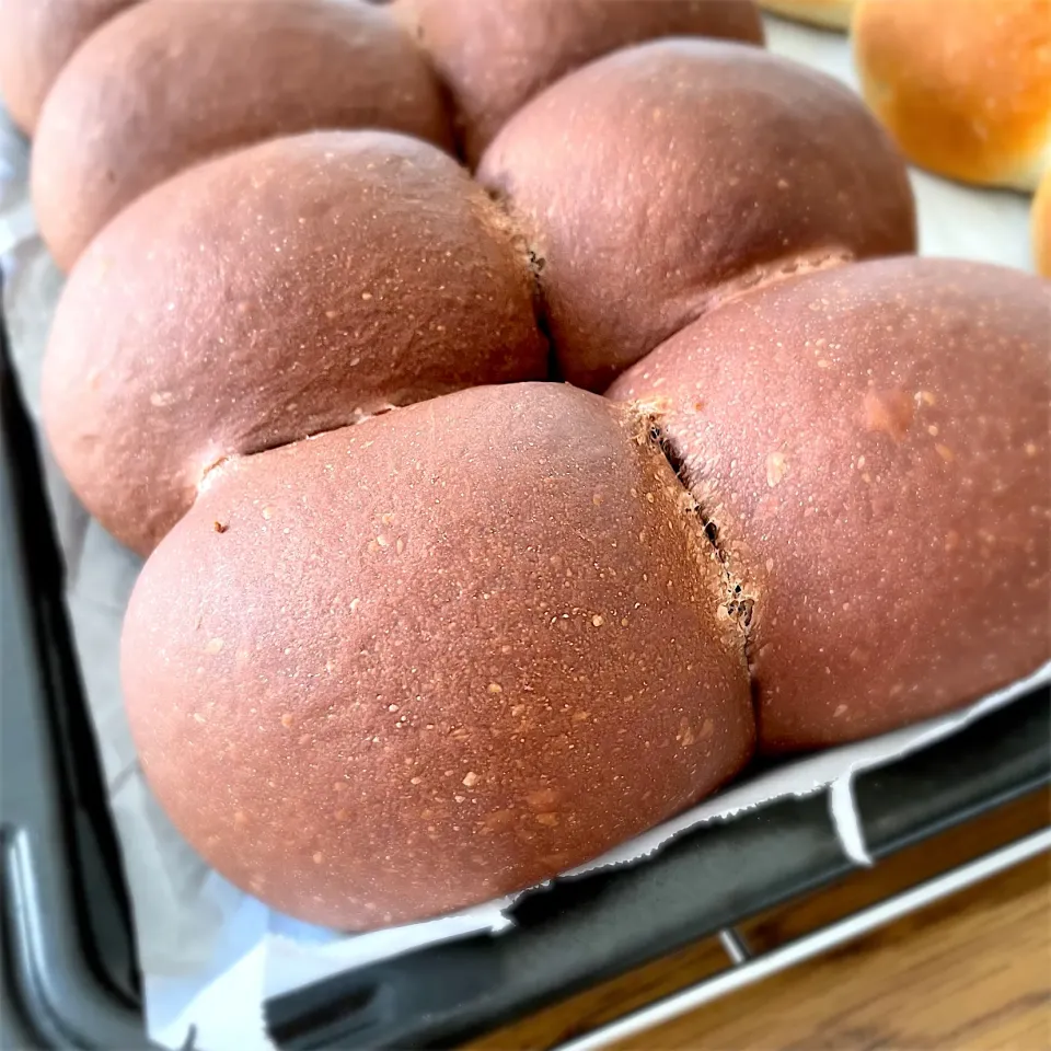 ココアパン|まりもこさん