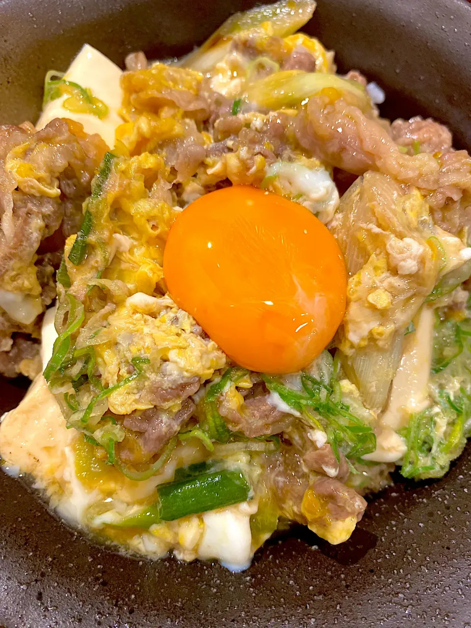豆腐牛丼|cocochiさん