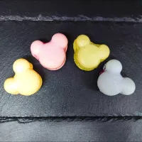 マカロン|terraさん