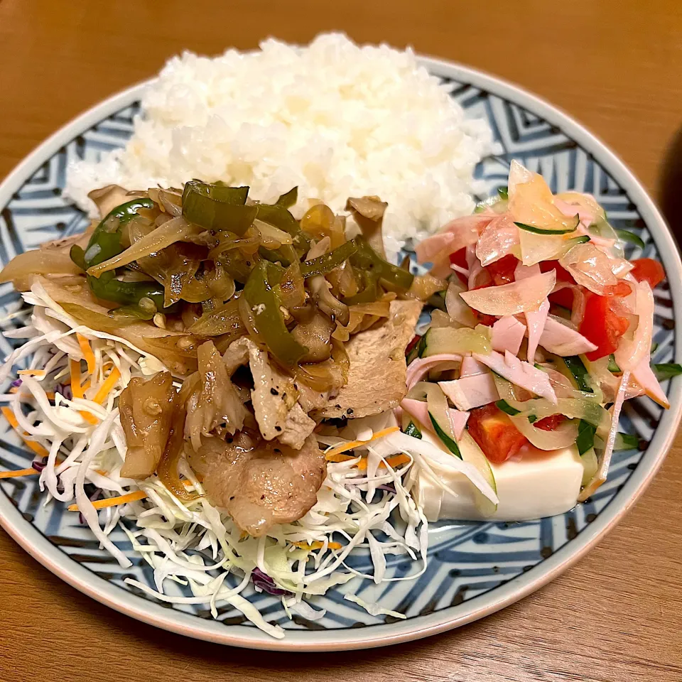 20250908夜|mikochieさん