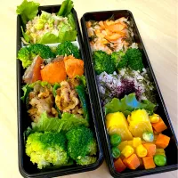 明日の昼飯シリーズ_鮭食べたくて鮭弁当、２食ライス（鮭混ぜと、大好きなゆかり混ぜ）