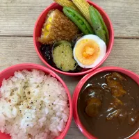 カレー弁当
