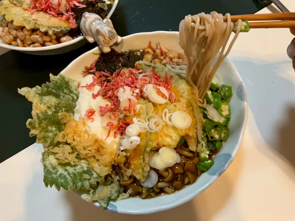 オクラ、納豆、めかぶ、大和芋、ナメコでネバネバ大会！
今日は、かぼちゃと紫蘇の天ぷらに干しエビ付きの冷たいお蕎麦|Takeshi  Nagakiさん