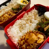 青椒肉絲と麻婆豆腐弁当|emkさん