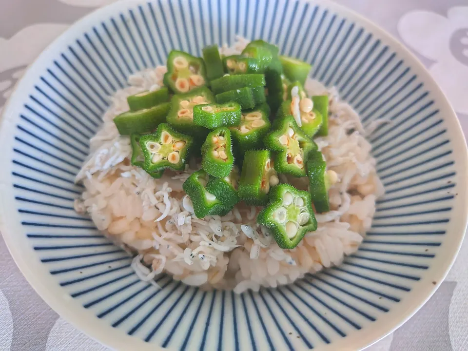 家ご飯|Y－Mさん