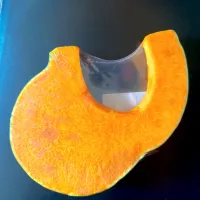 オーガニックかぼちゃスライス (Ōganikku kabocha suraisu)|LNAさん
