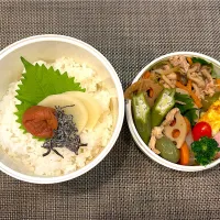 高校生息子のお弁当 ポークハヤシ風炒め弁当|Snow10さん