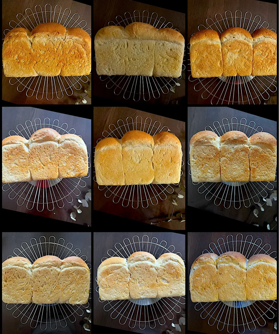 九食九色🍞𝟛|yucca@さん