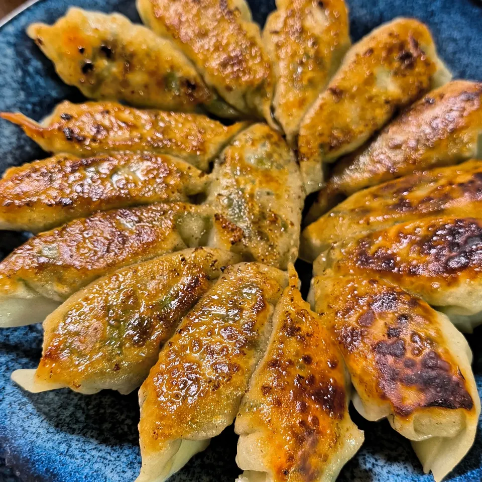 手羽餃子と餃子|ちーさん