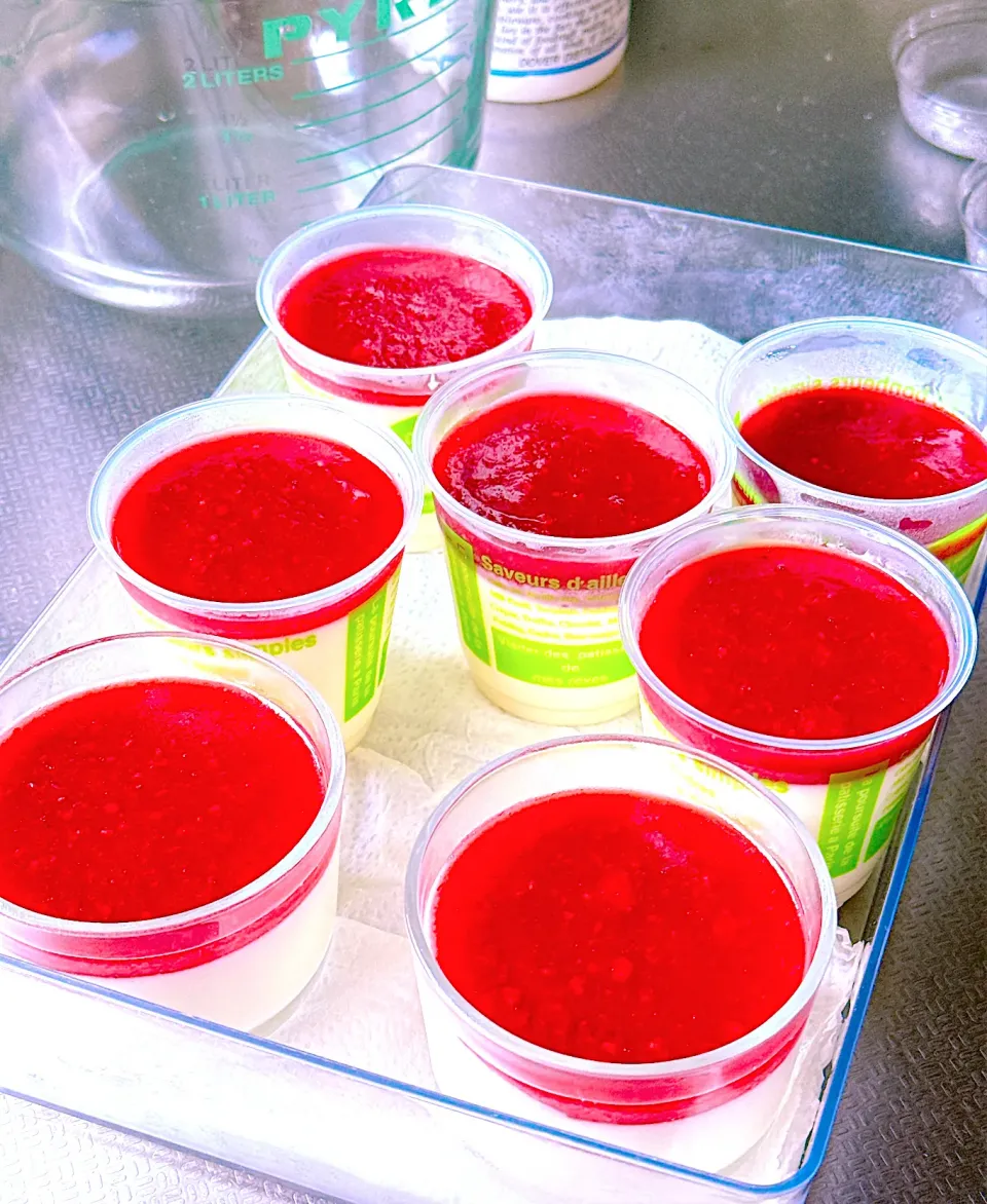 2025/09/11ギリシャヨーグルトババロア×ラズベリー|Blueberry🫐さん