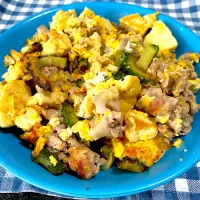 ゴーヤチャンプル|田中章さん