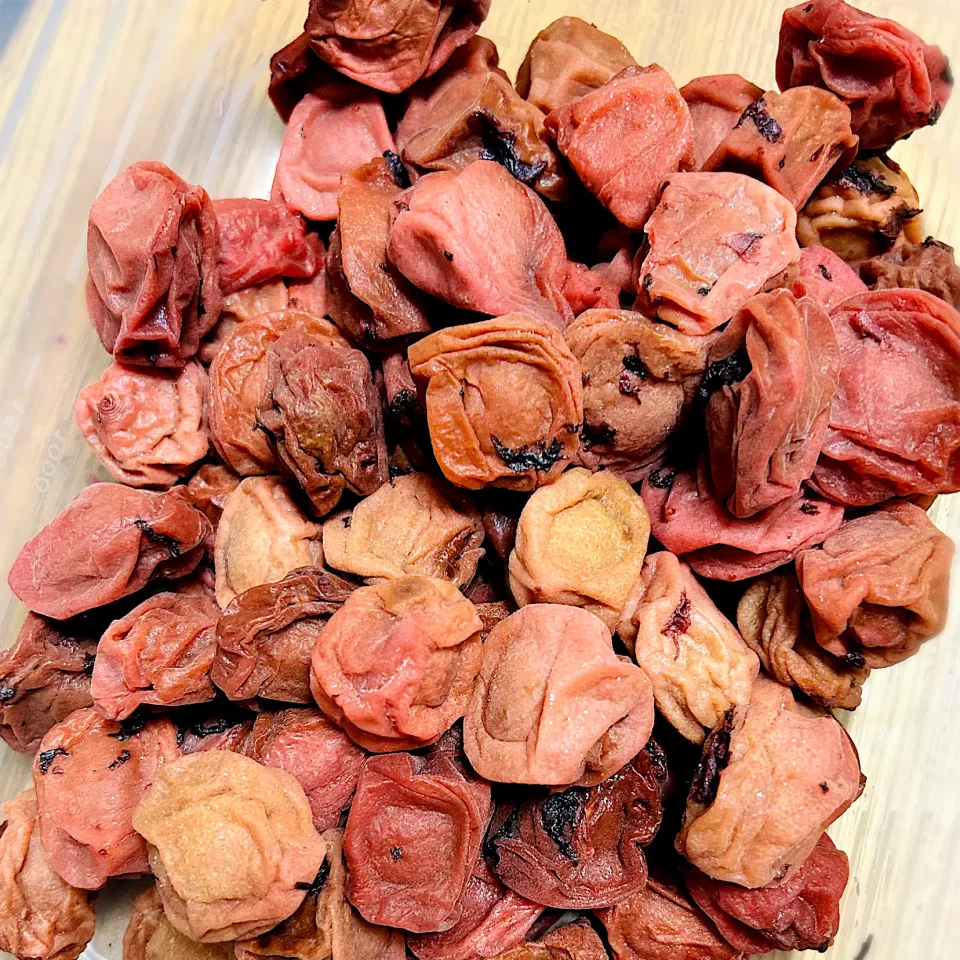 ”南高梅 梅干し“＠ 自家製|平大さん