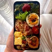 むすこのおべんとう|ぼんさん