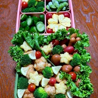 今日は娘っ子の体育祭|モグちゃんさん