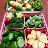 |モグちゃんさん