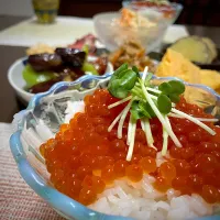 9/13 イクラ丼|あーるさん