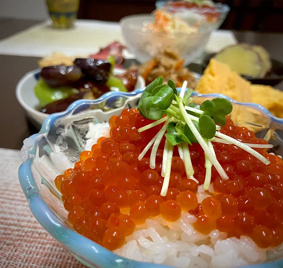9/13 イクラ丼|あーるさん