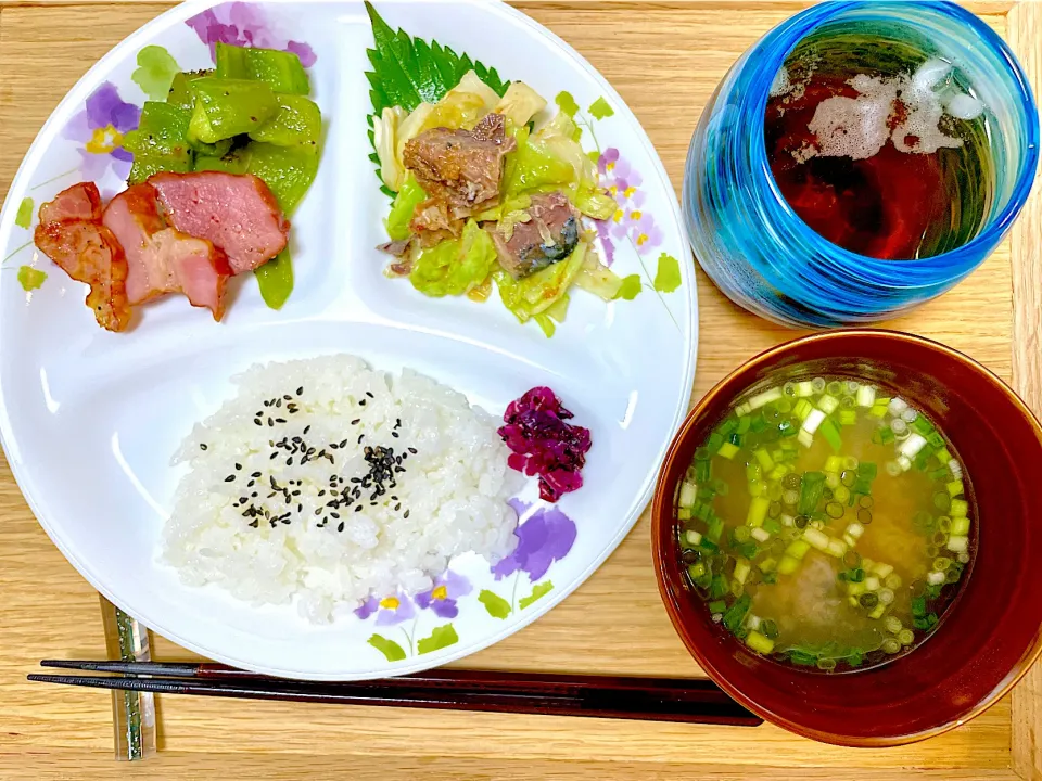 昼食 サバ缶キャベツなど|ふわふわさん