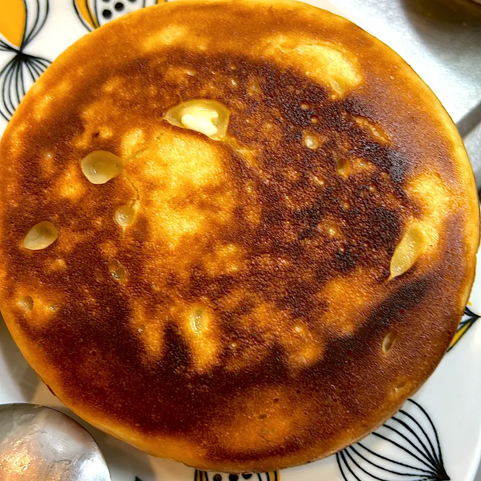 #チーズナン|トリさん