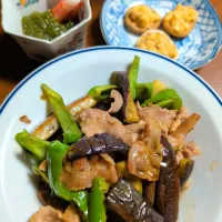 茄子とピーマンの豚肉炒め|ぱやさん