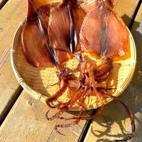 自作スルメ|rinさん