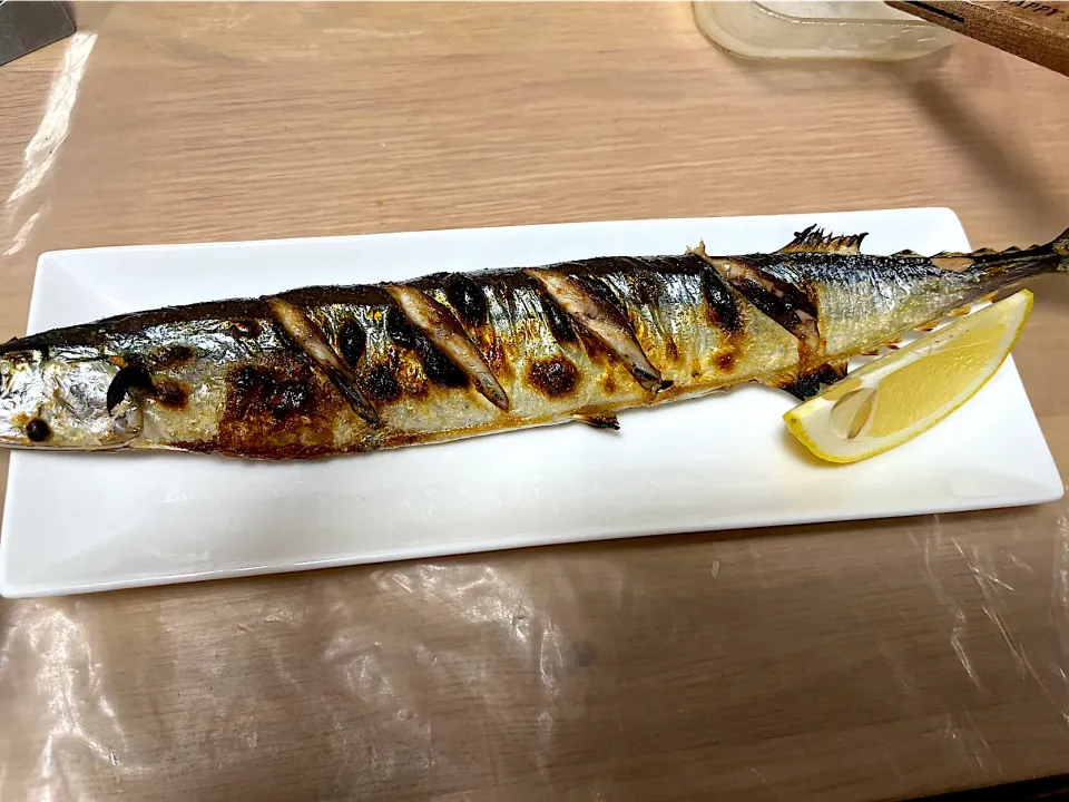 初サンマ|もーやんさん