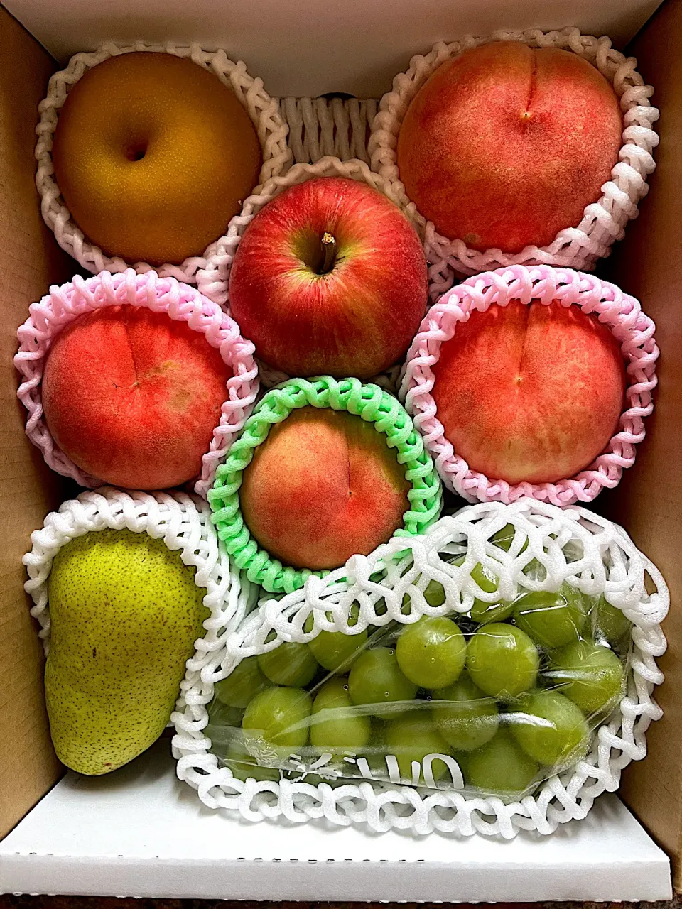 ふるさと納税|じょんさん