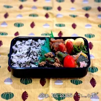 2025/09/15お弁当〜♡|いく❤️さん