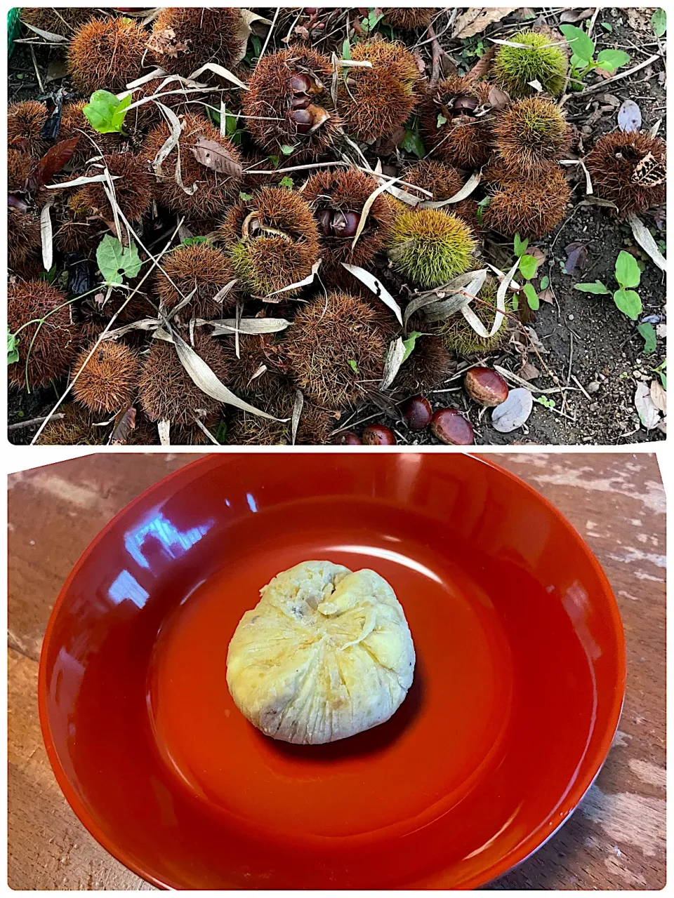 栗きんとんの茶巾絞り|パンプキンさん