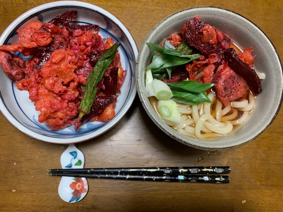 昼食　ビーツの天ぷらうどん|ATさん
