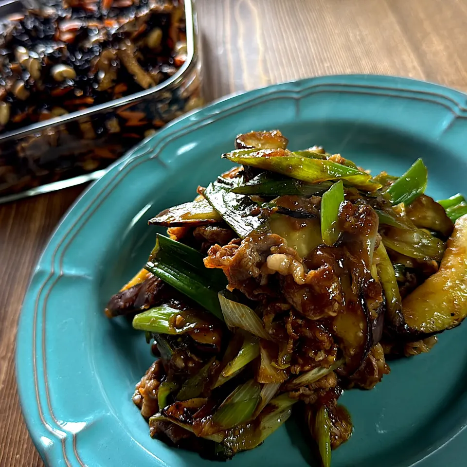麻婆茄子とひじきの煮物|gohan♡さん
